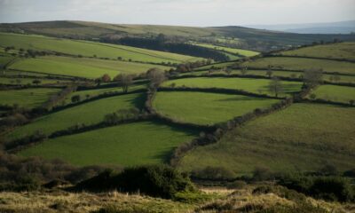 Green countryside landscape representing environmental and conservation careers in the UK