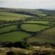 Green countryside landscape representing environmental and conservation careers in the UK
